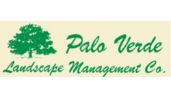 palo verde