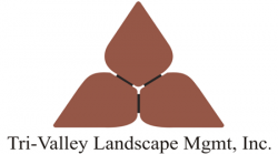 tri valley